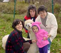 Maggies Brook Farm Alpaca Family
